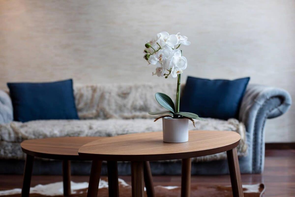 Central Luxy Design Apartment Budapeszt Zewnętrze zdjęcie